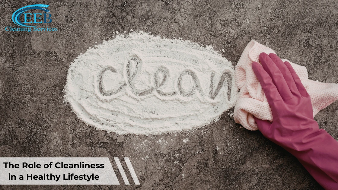 The Role of Cleanliness in a Healthy Lifestyle