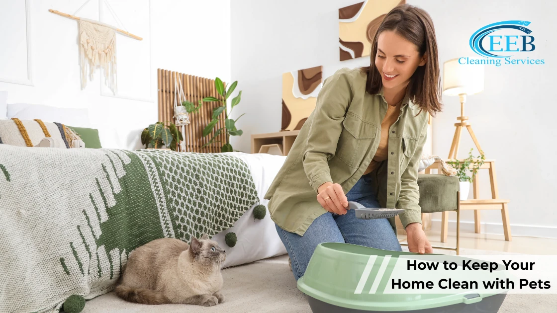 How to Keep Your Home Clean with Pets