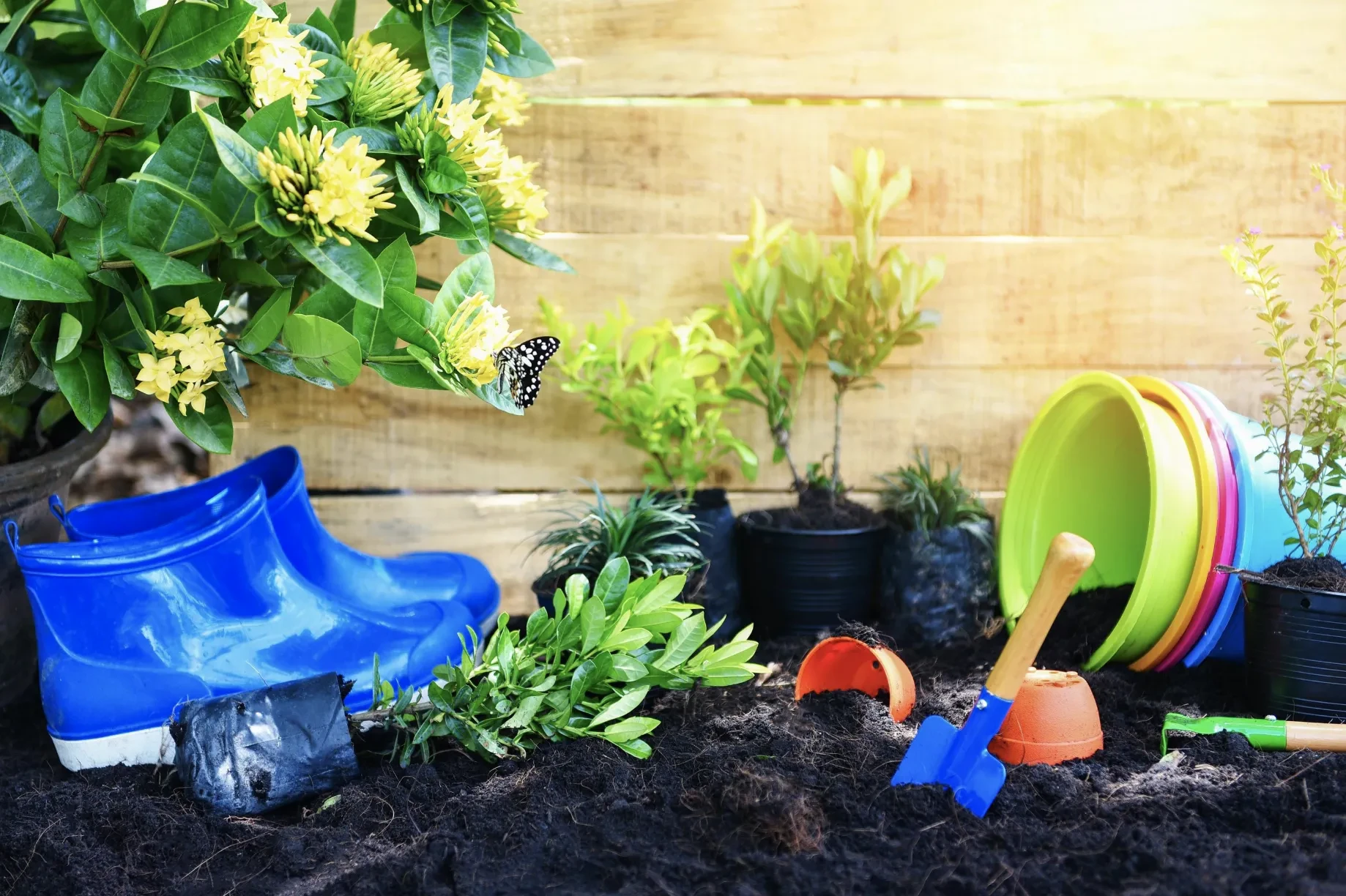 landscape cleanup services new york by EEB Cleaning Services