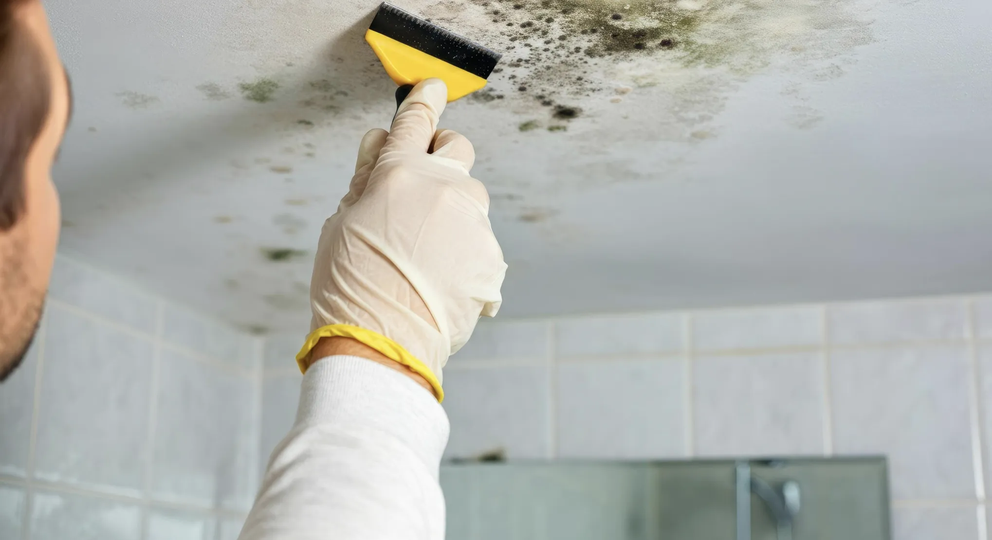 mold cleanup services by EEB Cleaning Services